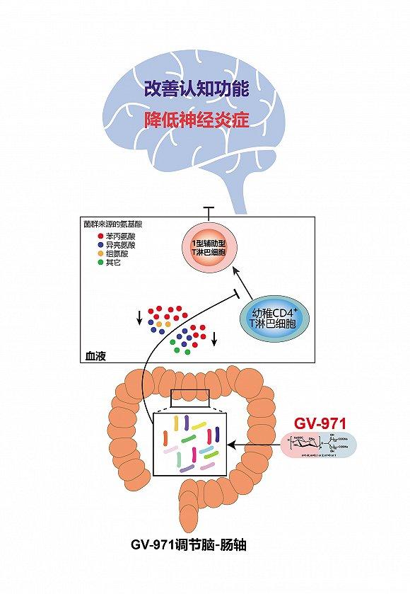 中国原创阿尔茨海默病新药甘露特钠胶囊获准上市，上海再结生物医药创新硕果